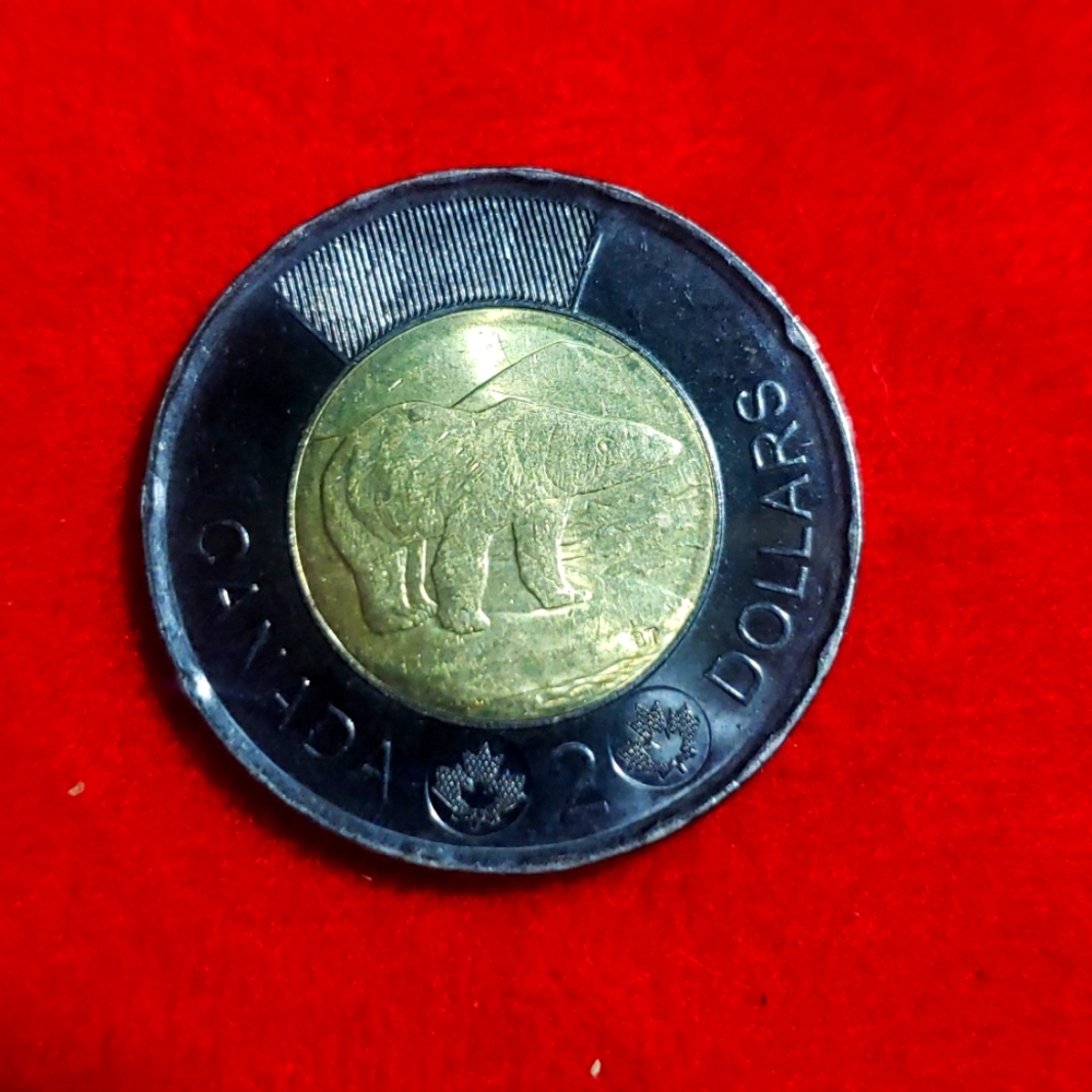 2022 limited edition black toonie